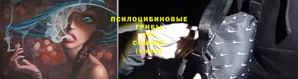 марки lsd Абаза